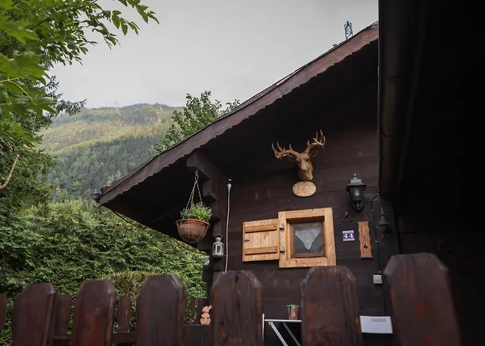 Le Du Petit Ours Chalet *