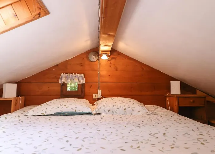 Dağ evi Le Du Petit Ours Chamonix