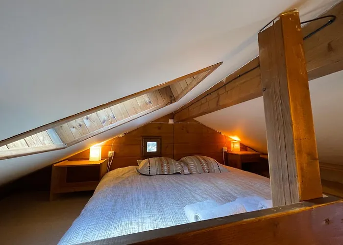 Le Du Petit Ours * شامونكس