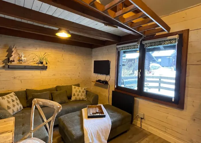 Le Du Petit Ours Σαμονί